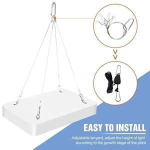 Lámpara LED de Espectro Completo de Última Generación de 4000/5000W, Bombillas para Plantas IP65, Lámpara Hidropónica, Lámparas para Invernadero, Caja de Iluminación para el Crecimiento de Flores - Product Image 4