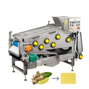 Pequeña escala 500 kg/h máquina de prensado de correa de jugo de jengibre máquina exprimidora de jengibre