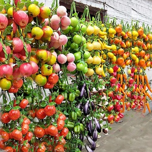 Légumes artificiels de qualité supérieure, suspendus à une ficelle, pour la récolte <span class=keywords><strong>d</strong></span>'automne, <span class=keywords><strong>d</strong></span>écoration, <span class=keywords><strong>ail</strong></span>, maïs, hôtels, fête festive - Product Image 1