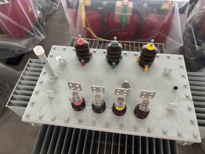 Transformateur de puissance triphasé immergé dans l'huile 250 kVA 11 kV 400 V pour lignes de distribution 220 V 380 V 440 V, volumes 10 kV 6 kV 35 kV - Product Image 3