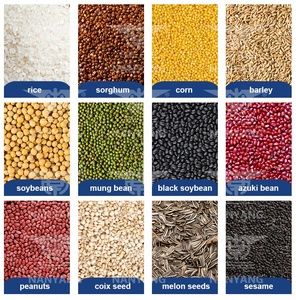 Secadora Rotatoria de Frijol Rojo y Frijol Verde Recomendada por la Fábrica, Secadora de Tambor para Almidón de Camote, Secadora de Tambor para <span class=keywords><strong>Trigo</strong></span> y Sorgo - Product Image 5