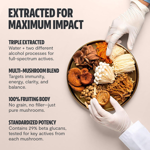 High quality private label multi-mushroom essence to enhance immunity and improve metabolism - Product Image 3