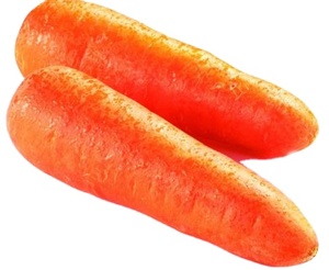 New crop fresh organic vegetables wholesaler carot/carrot seeds price of carrots in bulk for export in China