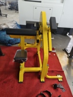 Machine d'entraînement de biceps chargée par plaque d'utilisation commerciale de RiZhao pour le GYM