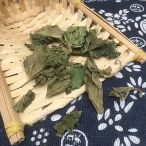 新鮮な桑の葉茶サンイェ工場桑の葉ハーブ