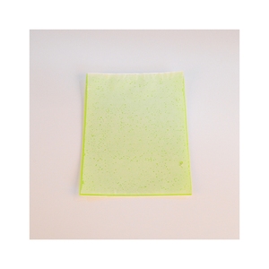 Prezzo attraente nuovo tipo farfalla a doppia faccia per trappole appiccicose a forma di mosca per piante Indor - Product Image 2