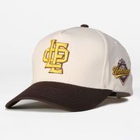 Gorra de Béisbol Personalizada de 5 Paneles de Algodón de Alta Calidad para Hombre, Gorras de Dos Tonos, Logotipo Bordado, Gorra de Béisbol Curva para Mujer, Primavera/Verano, para Actividades al Aire Libre