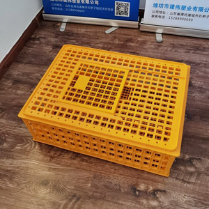 Caja de Transporte de Plástico para Pollos Vivos, Caja de Transporte de Aves, Caja para Transporte de Gallinas, <span class=keywords><strong>en</strong></span> Oferta - Product Image 6