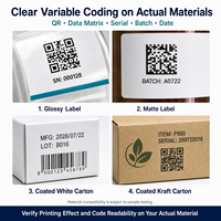 Imprimante UV PIJ automatique 600 DPI à prix compétitif pour codes QR, codes Data Matrix, codes de lot et de date, étiquettes et cartons enduits