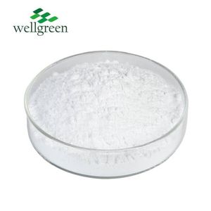 Wellgreen l-glutamin L Glutamin takviyesi toplu takviyeleri transaminaz asetil Glutamin tozu - Product Image 1