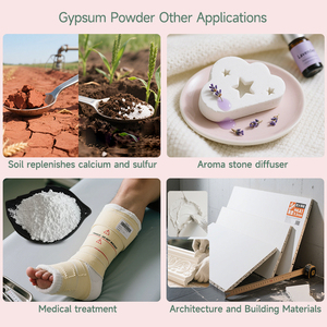 Poudre de gypse haute résistance pour l'<span class=keywords><strong>impression</strong></span> 3D prototypage rapide et industrie de moulage de sculpture d'<span class=keywords><strong>art</strong></span> - Product Image 2