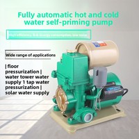 Pompe de surpression d'eau chaude et froide mini 220V entièrement automatique pour usage domestique, en fonte, intelligente, auto-amorçante, pour l'eau du robinet en conduite