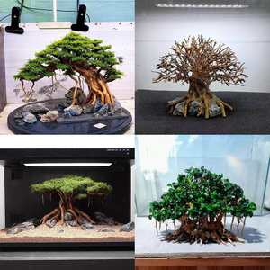 Drijfhout Braziliaanse boomstronk Thailand tak vislandschap speciaal voor kleine aquariumdecoratie woonkamer China OPp-9 - Product Image 3