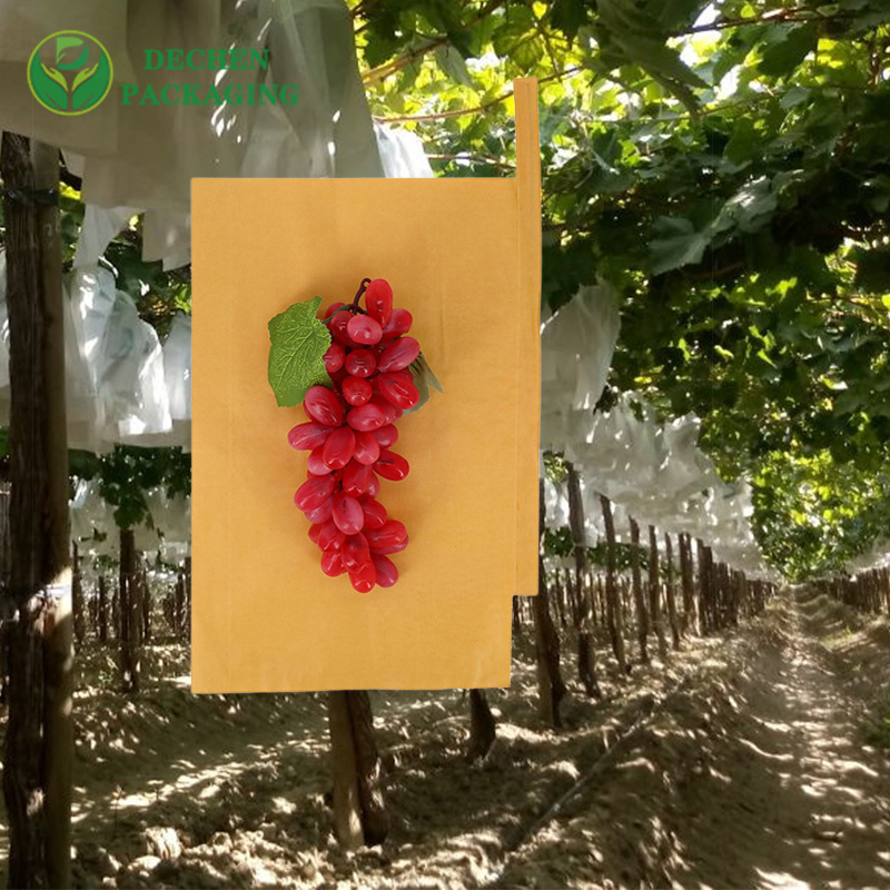 Maker שקיות הגנה לפירות חקלאות שקית בננה מנייר קראפט ידידותית לסביבה