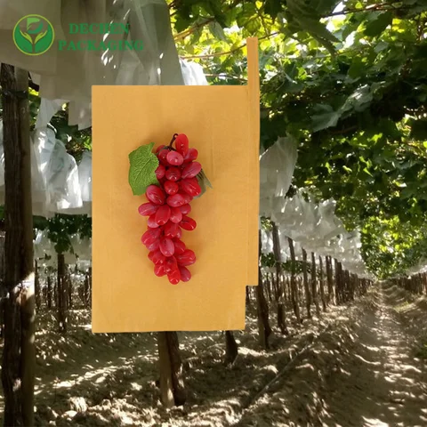 Grape Protection Bag with Micro Holes