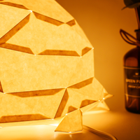 Meistverkaufte Kreative Tiermotiv-Design Handgefertigte Maßgeschneiderte Muster Papierkunst Origami Schildkröten-Lampenschirm Papierlaterne