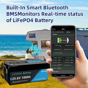 방수 12V 12.8V 24V 25.6V 36V 72V 100Ah 200Ah 280Ah 300Ah 리튬 이온 배터리 314Ah IP65 Lifepo4 배터리 팩 (BMS 포함) - Product Image 6