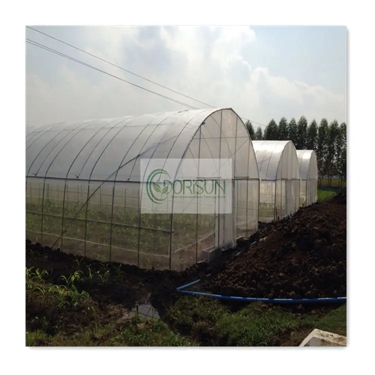 Professional service agricultural growing strawberry greenhouses plastic film single span greenhouse with high quality
