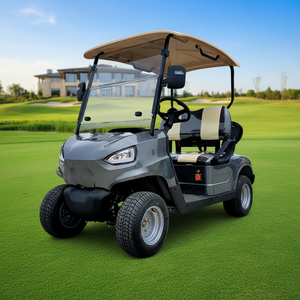 Carrito de Golf Eléctrico de 4 Ruedas y 2 Asientos, Fabricado en China, con Batería de Litio de 48v, Energía Nueva, Alcance de <100km y Batería de 30kWh - Product Image 1