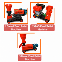 Machine à granulés d'aliments pour animaux de petite ferme 200 kg/h, granulateur électrique pour poulets, porcs, bovins, moutons