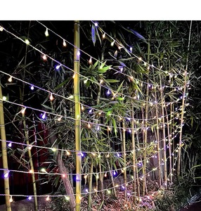 Amazon Hotsell Giáng Sinh Trong Nhà Tường Cửa Sổ Cây Trang Trí Nội Thất LED Bóng Chuỗi Ánh Sáng Cổ Tích Ánh Sáng Toàn Cầu Cho Kỳ Nghỉ Đảng - Product Image 2