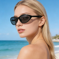 Lunettes de soleil ovales de luxe de haute qualité, monture petite, style vintage, personnalisées, en nylon, œil de chat, en acétate, unisexes