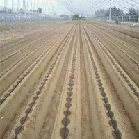 Ruban d'irrigation goutte à goutte subaquatique 100 % plastique Daringfish, DN 16/22 mm, idéal pour les cultures en rangs