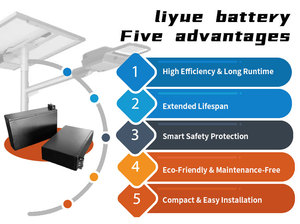 Oplaadbare Li-Ion Batterij 12V 24V 10ah 15ah 20ah 30ah Lithium-Ionbatterij Voor Straatverlichting Op Zonne-Energie - Product Image 6