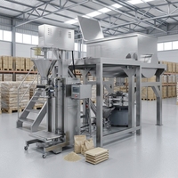 Mélangeur à ruban pour poudres de 680 litres, machine à mélanger la farine et les ingrédients épicés, machine de remplissage de poudre à vis sans fin de 50 kg