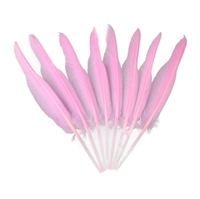 Plumes d'oie naturelles, 30 à 35 cm, pour décoration artisanale, accessoires de danse