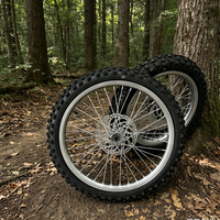 Nouvel ensemble de roues de 19/16 pouces avec jantes peintes latéralement, pneus tout-terrain argentés, chaîne, pignon et frein à disque pour Surron Light Bee Talaria 3x 4x