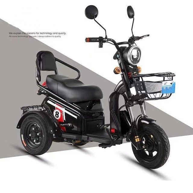 New Adults 3 Wheel Cargo Tricycle Adult 500W 800W 1000W High Powered Transport Car Mini Tricycle