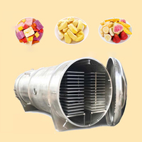 Hete Verkoop Fruit Groente Vacuüm Vriesdroogmachine Gemaakt In China