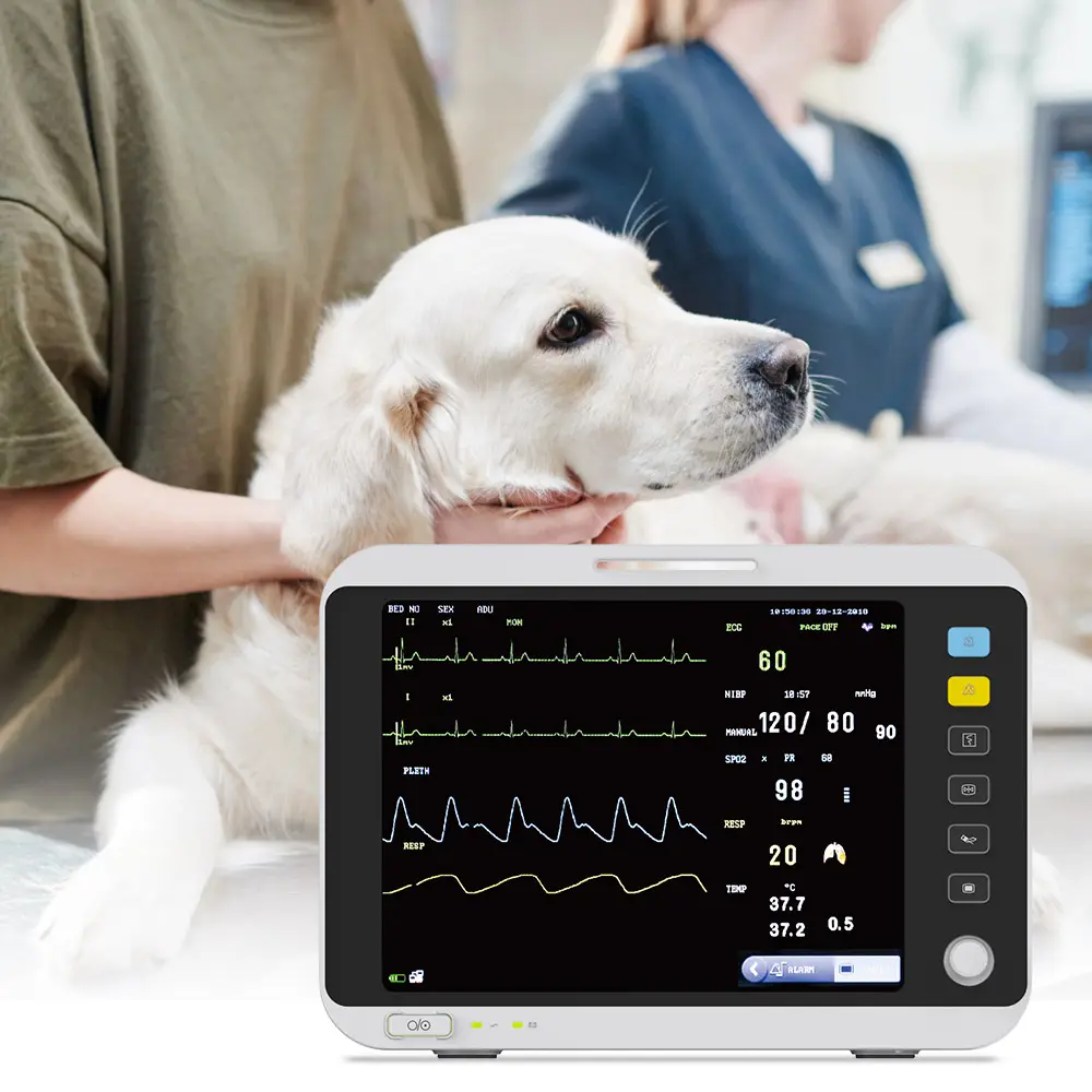 नई 2 इंच की निगरानी Cardiaco VeterinarIor हाथ में ईसीजी Holter मॉनिटर पालतू मिनी Etco2 Multiparameter NIPG पशु चिकित्सा के साथ मॉनिटर
