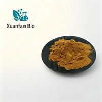 Liposomal Oleuropein 10%~40% Laris Manis, Ekstrak Daun Zaitun Bubuk, Bubuk Ekstrak Zaitun