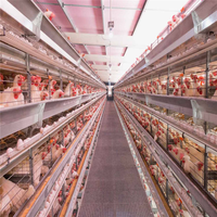 10000 élevage de poulets ferme avicole usine Structure en acier bâtiment ventiler Construction hangar Coop Cages ferme polyvalente