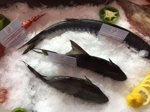 Vendita diretta della fabbrica 200kg per alimenti di mare o ristorante, produttore di fiocchi di ghiaccio in acciaio inossidabile con logo personalizzato - Product Image 5