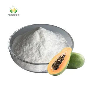 Good Price 100% Natural Papaya Extract Papain Enzyme Powder Meat Tenderizer Papain