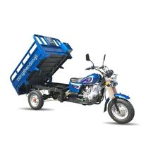 Tricycle à charge lourde 200cc 250cc conçu pour la logistique rurale - Moto-tricycle de ferme à marché