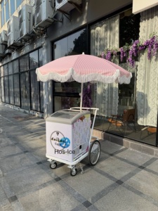 Vente d'Europe Crème glacée Snack Food Street Food Popsicle Vending Hand Push Cart avec batterie Boisson froide Bar mobile - Product Image 3