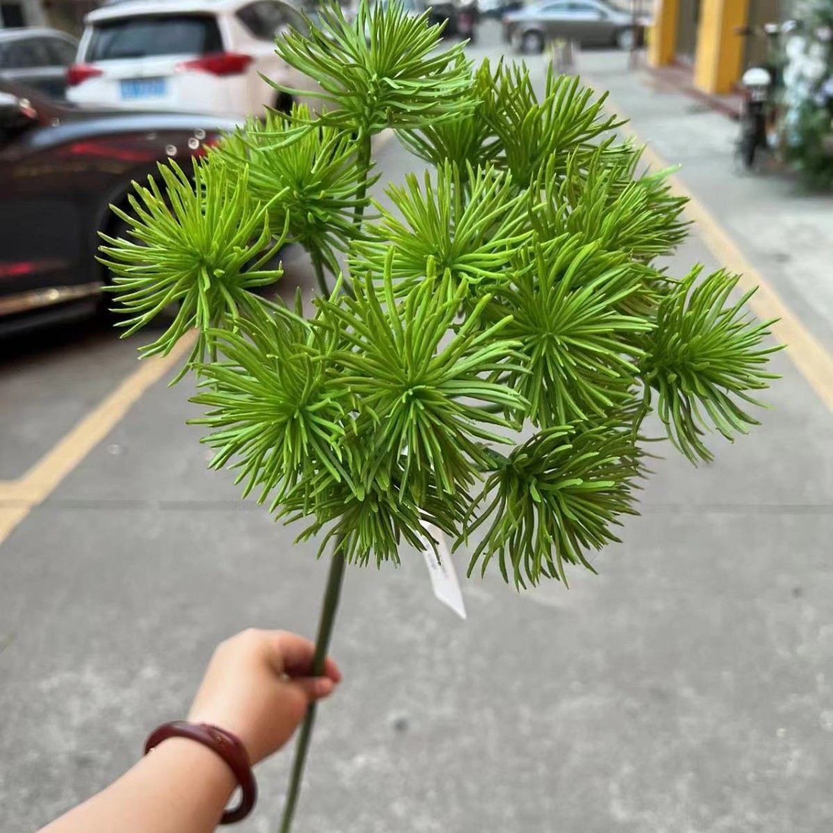 Simulation de l'asperge verte
