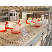 Cages à poulets de haute qualité, type H, en acier galvanisé à chaud, pour l'élevage de poulets de chair et de cailles