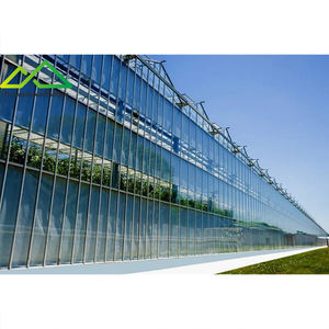 Grande serre multi-chapelles <span class=keywords><strong>en</strong></span> verre pour la culture hors-sol de tomates, concombres, poivrons et melons - Product Image 5