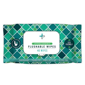 Biokleen Eco-Friendly Biodegradable Hypoallergenic Personal Cleaning Wipes Flushable Toilet Wet Wipes for Men and Women