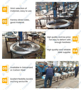 Clôture en treillis métallique galvanisé anti-corrosion, spécialement conçue pour l'élevage - Product Image 6