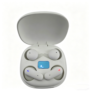 2026 New Two Pairs Eearbuds 2 In 1 Sleeping Earbuds TWS And Sports Earbuds TWS With Digital Display Headphone Wireless