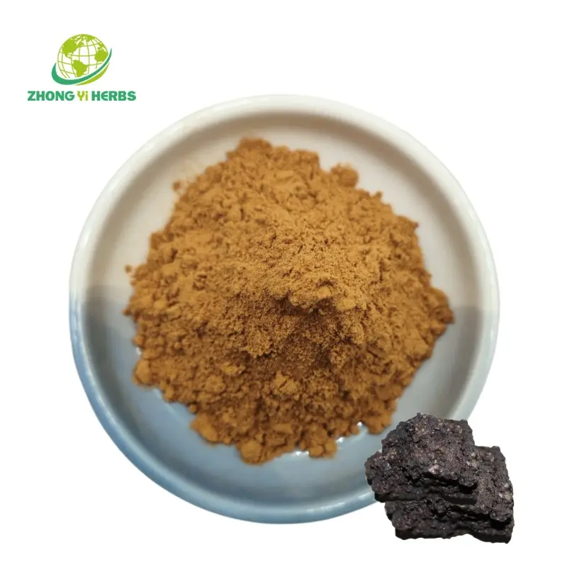 Extracto de Shilajit natural puro 10% polvo de ácido fúlvico