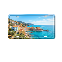 Plaque d'immatriculation de voiture vierge pour sublimation, résistante à l'eau et à l'oxydation, en métal, pour l'avant et l'arrière, vente en gros