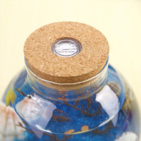 Vente en gros Récipient en verre pour terrarium micro-paysage Terrarium bocal rond en verre transparent fait à la main avec lumière LED avec couvercle en liège