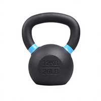 Nouvelle Arrivée Kettlebell en Fonte Massif Hardcast avec Anneaux Colorés et Finition Électrolytique pour Usage Domestique, Poids Libres, Option Logo Personnalisé